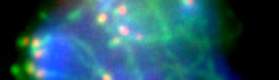 dressermid-cropped2